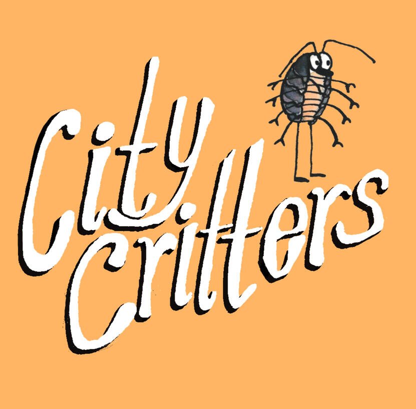 City Critters