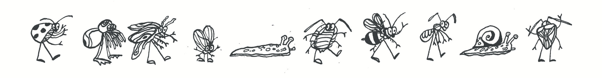 City critters Band